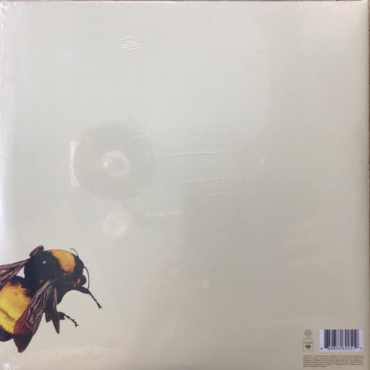 Tyler, The Creator : Scum Fuck Flower Boy (2xLP, Album, RP, Gat)