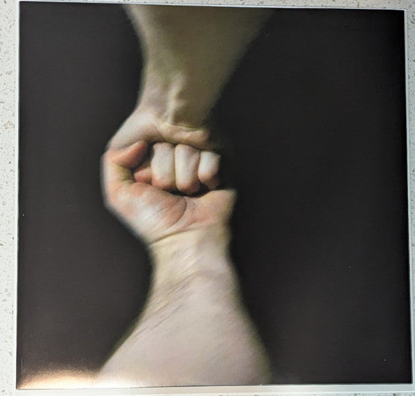 The Mountain Goats : The Sunset Tree (LP, Album, Ltd, RE, RM, OBI)