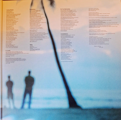 Jack Johnson : In Between Dreams (LP, Album, RE, RP, 180)