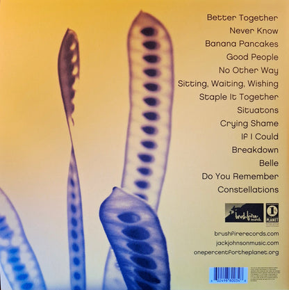 Jack Johnson : In Between Dreams (LP, Album, RE, RP, 180)