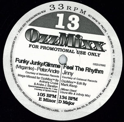 Various : OzzMixx 13 (12", Promo)