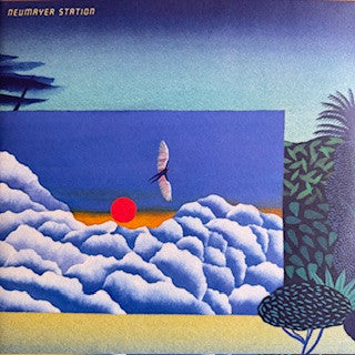 Neumayer Station : Crossings (2x12", Album, Ltd, Num)