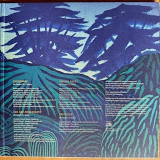 Neumayer Station : Crossings (2x12", Album, Ltd, Num)