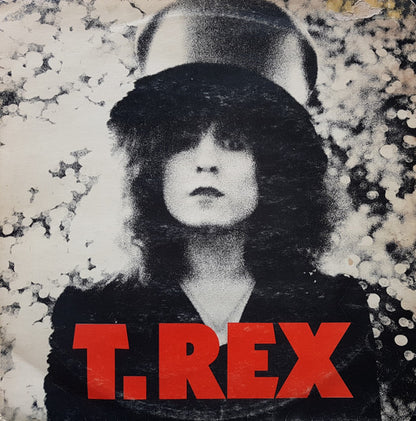 T. Rex : The Slider (LP, Album)