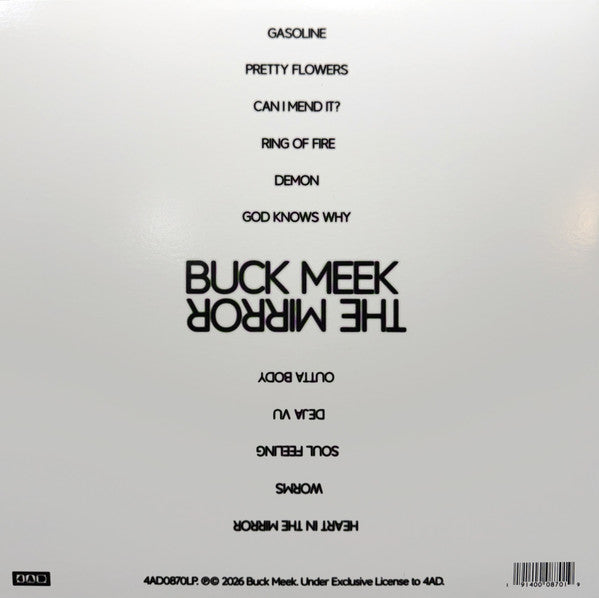 Buck Meek : The Mirror (LP, Album, Cle)