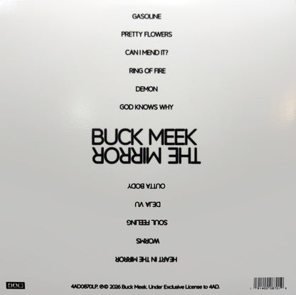 Buck Meek : The Mirror (LP, Album, Cle)