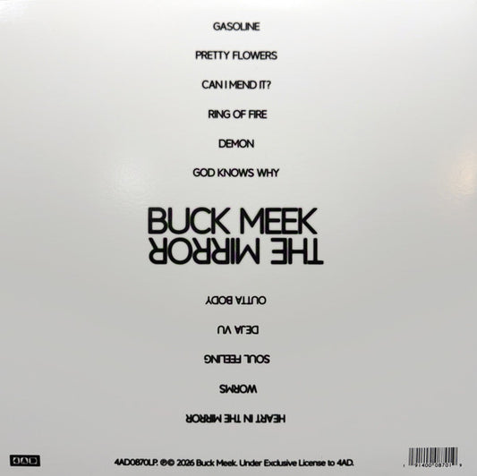 Buck Meek : The Mirror (LP, Album, Cle)