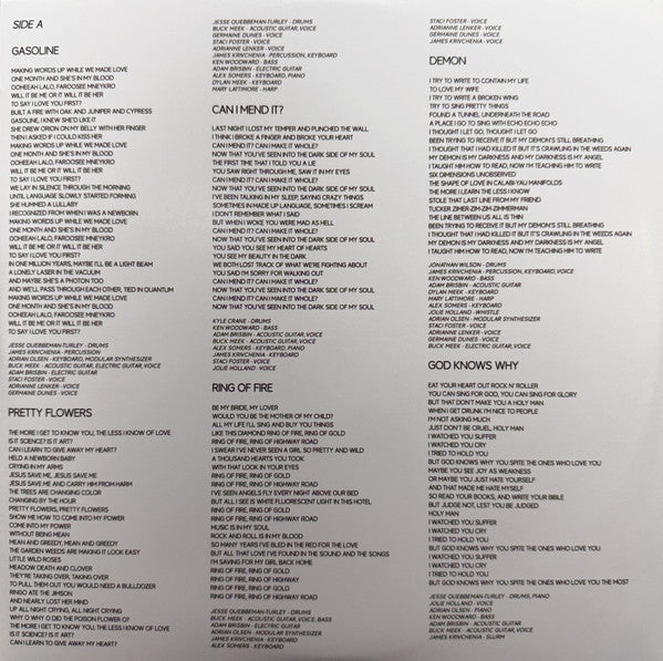 Buck Meek : The Mirror (LP, Album, Cle)