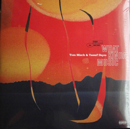 Tom Misch & Yussef Dayes : What Kinda Music (2xLP, Album, RP)