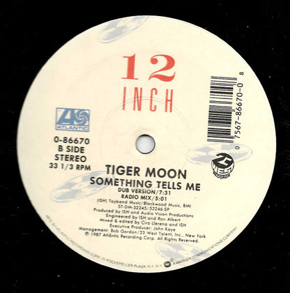 Tiger Moon : Something Tells Me (12", Single)