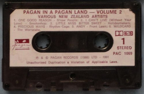 Various : Pagan In A Pagan Land Vol 2 (Cass, Comp)
