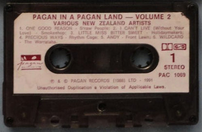 Various : Pagan In A Pagan Land Vol 2 (Cass, Comp)