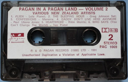Various : Pagan In A Pagan Land Vol 2 (Cass, Comp)