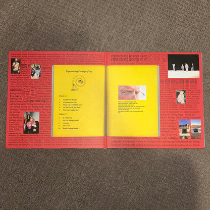 The Jungle Giants : Experiencing Feelings of Joy (LP, Album, Tra)