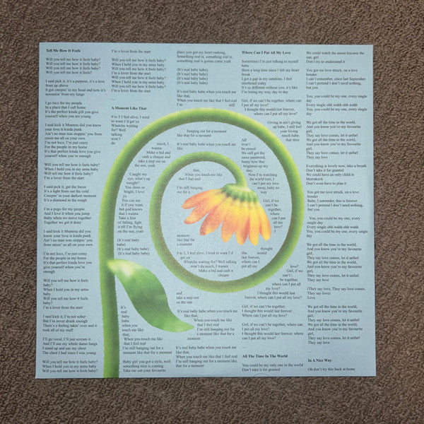 The Jungle Giants : Experiencing Feelings of Joy (LP, Album, Tra)