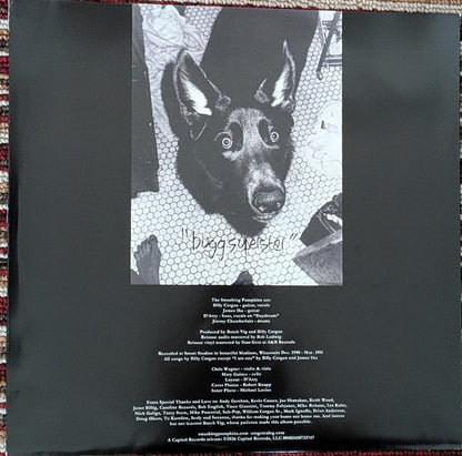 The Smashing Pumpkins : Gish (LP, Album, RE, RM, 180)