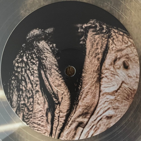 Pixies : Complete B Sides (2xLP, Comp, RE, RM, Tra)
