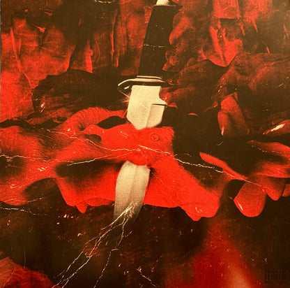 21 Savage & Metro Boomin : Savage Mode (LP, EP, RE, Bla)