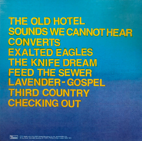 Protomartyr (2) : Hotel Usona (LP, Ltd, (Lt)