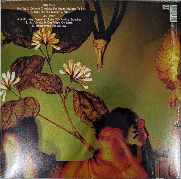 The Veils : Nux Vomica (LP, Album)