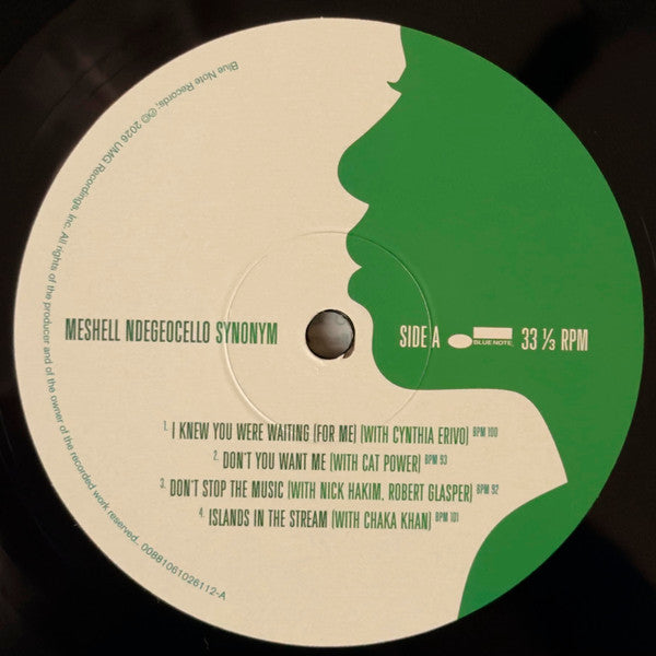 Me'Shell NdegéOcello : Synonym (2xLP, Album)