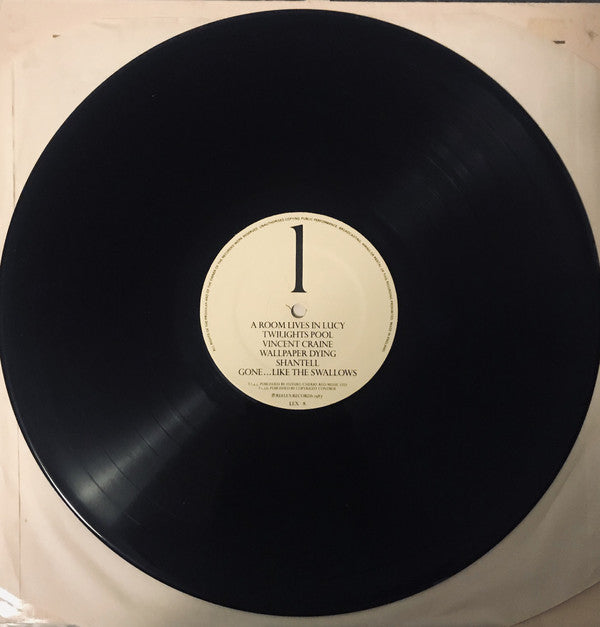 And Also The Trees : The Evening Of The 24th (LP, Album)
