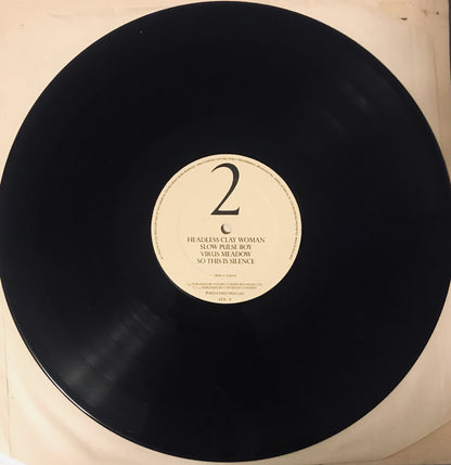 And Also The Trees : The Evening Of The 24th (LP, Album)