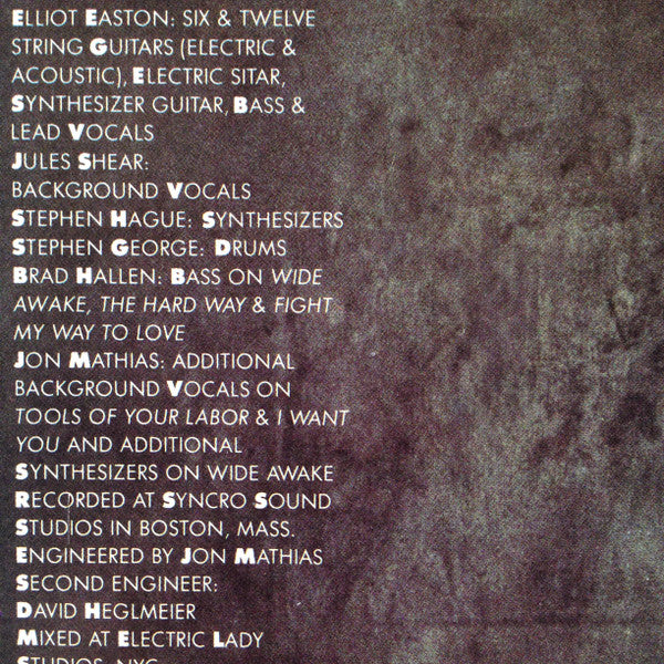 Elliot Easton : Change No Change (LP, Album)