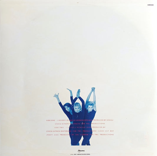 Bananarama : I Heard A Rumour (12", Single)