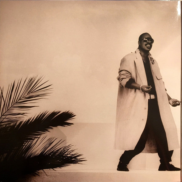 Stevie Wonder : In Square Circle (LP, Album, Gat)