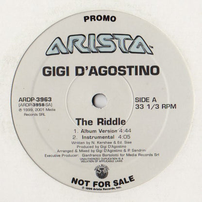 Gigi D'Agostino : The Riddle (12", Promo)