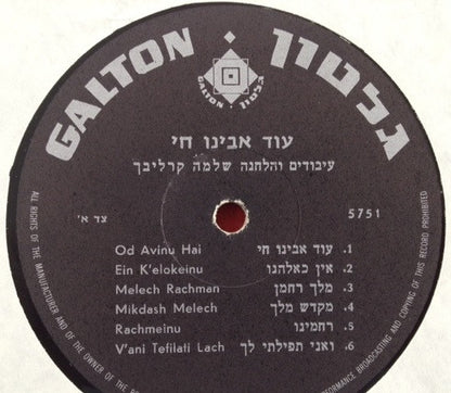 Rabbi Shlomo Carlebach : Rabbi Shlomo Carlebach Sings (LP)