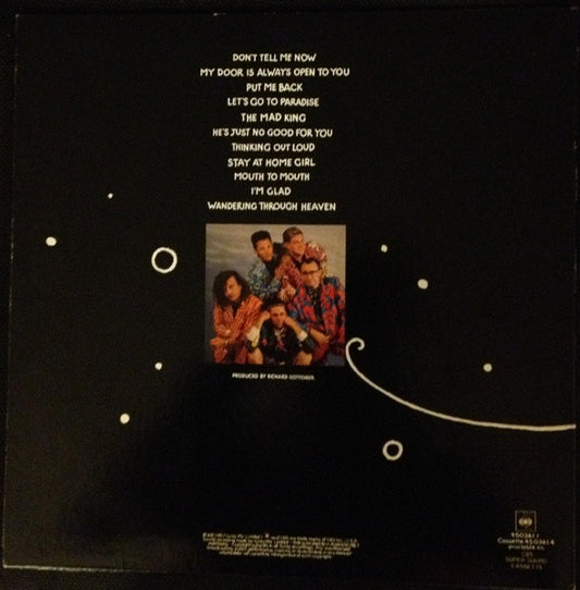 Mental As Anything : Mouth To Mouth (LP, Album)
