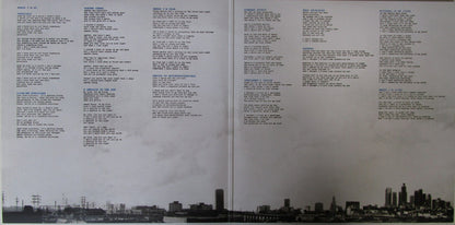 Eels : The Cautionary Tales Of Mark Oliver Everett (LP, Album, Cle + LP, Cle + Dlx)