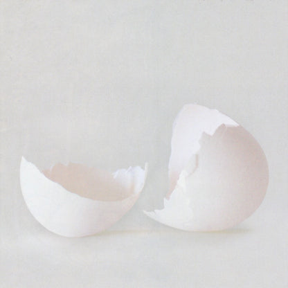 Wilco : A Ghost Is Born (CD, Album, Enh, Cin)