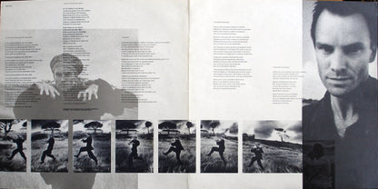 Sting : The Dream Of The Blue Turtles (LP, Album)