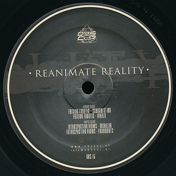 Frixion Fanatic / Introspective Views : Reanimate Reality (12")