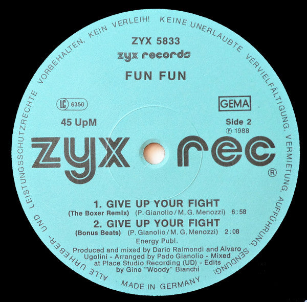 Fun Fun : Mega Hit Mix (12", P/Mixed)