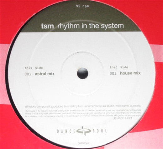 TSM : Rhythm In The System (12", Single)