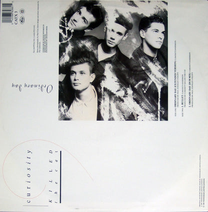 Curiosity Killed The Cat : Ordinary Day (12", Single)
