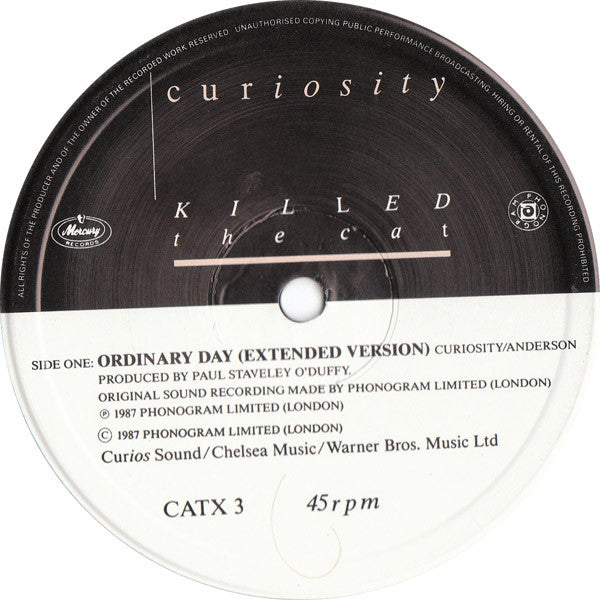 Curiosity Killed The Cat : Ordinary Day (12", Single)