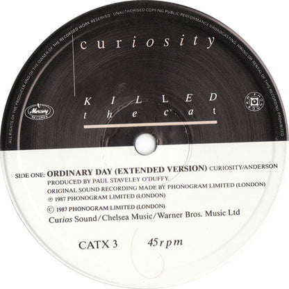 Curiosity Killed The Cat : Ordinary Day (12", Single)