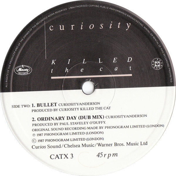 Curiosity Killed The Cat : Ordinary Day (12", Single)