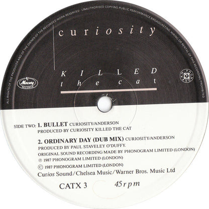 Curiosity Killed The Cat : Ordinary Day (12", Single)