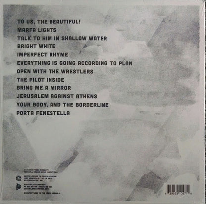 Franz Nicolay : To Us The Beautiful (LP, Ltd)
