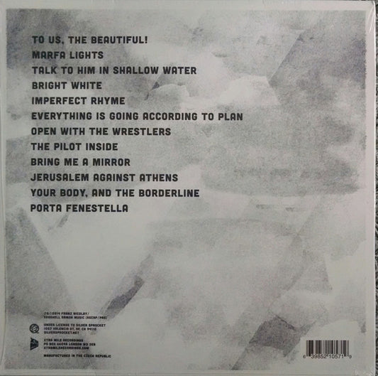Franz Nicolay : To Us The Beautiful (LP, Ltd)