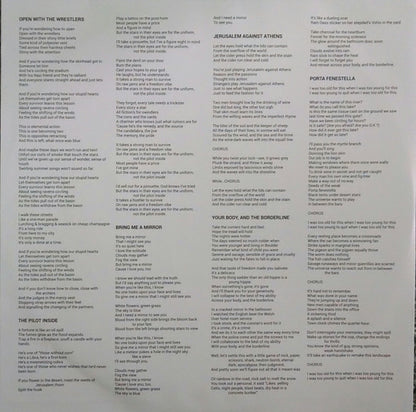 Franz Nicolay : To Us The Beautiful (LP, Ltd)