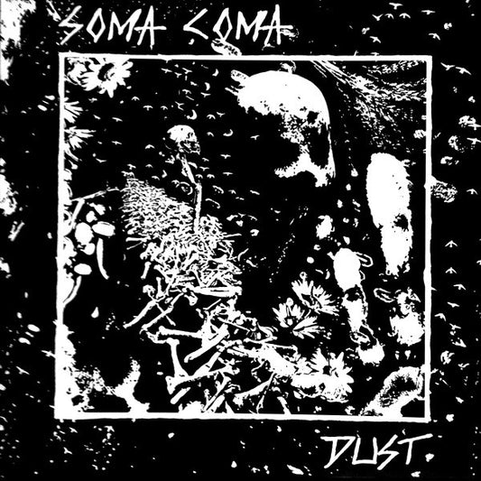 Soma Coma (2) : Dust (12")