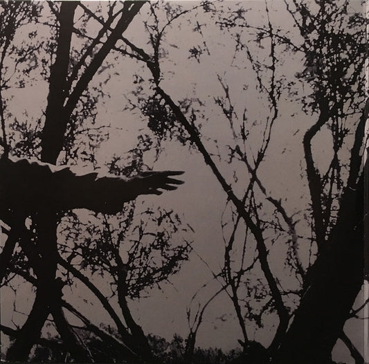 Charles Lloyd : Wild Man Dance (2xLP, Album)
