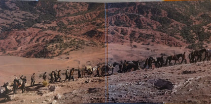 Nick Cave & Warren Ellis : Loin Des Hommes (Original Motion Picture Soundtrack) (LP, Gat)